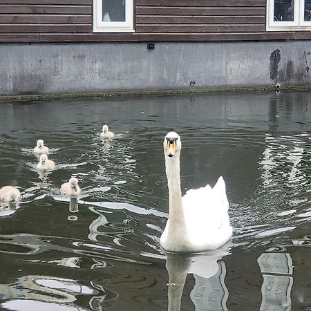 Lovely Canal Boat In Little Venice For Family & Friends 伦敦 外观 照片