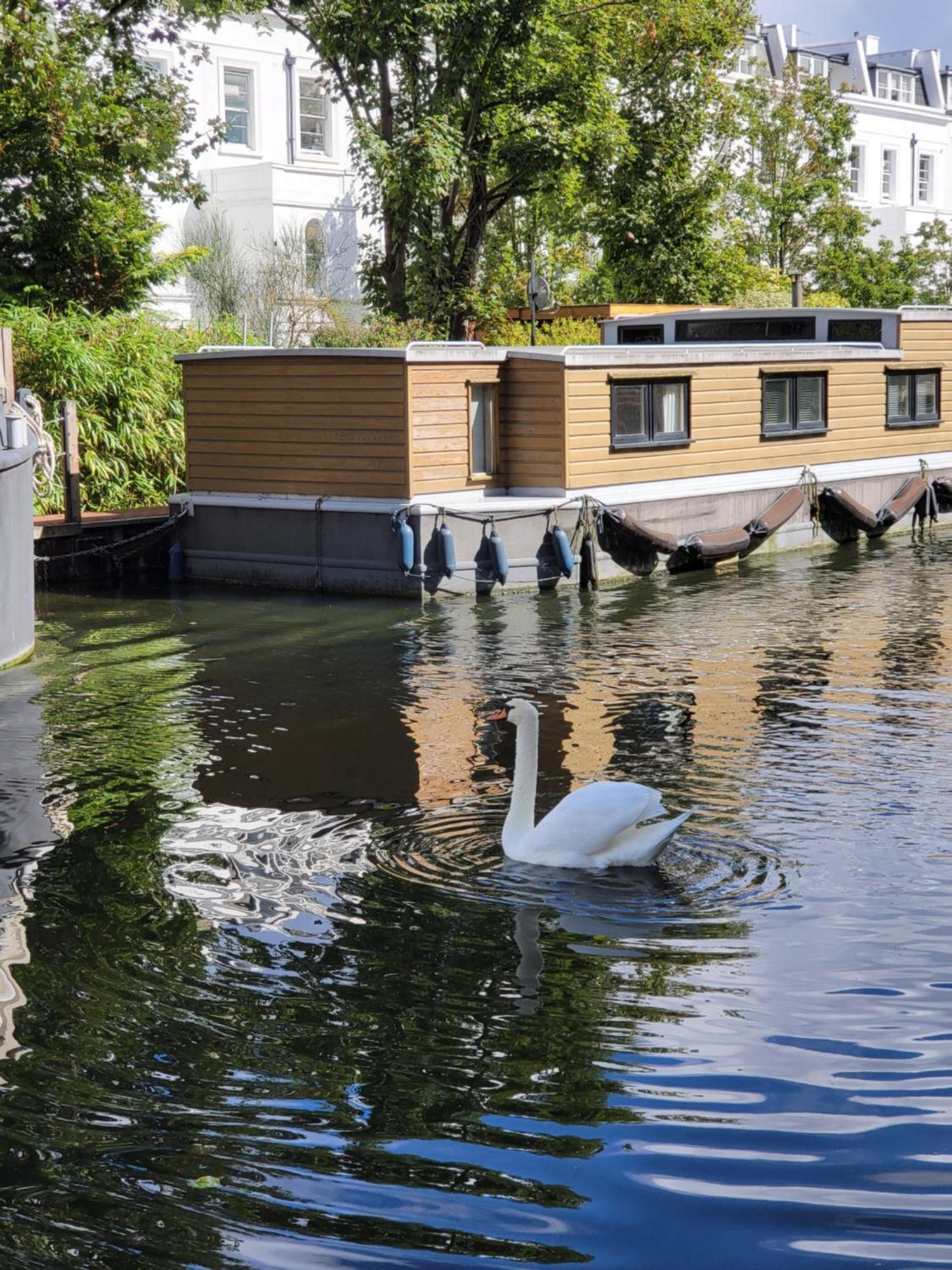 Lovely Canal Boat In Little Venice For Family & Friends 伦敦 外观 照片